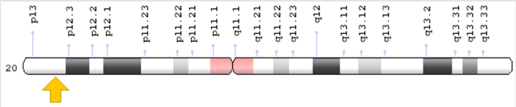 biomedres-openaccess-journal-bjstr