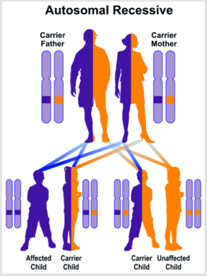 biomedres-openaccess-journal-bjstr