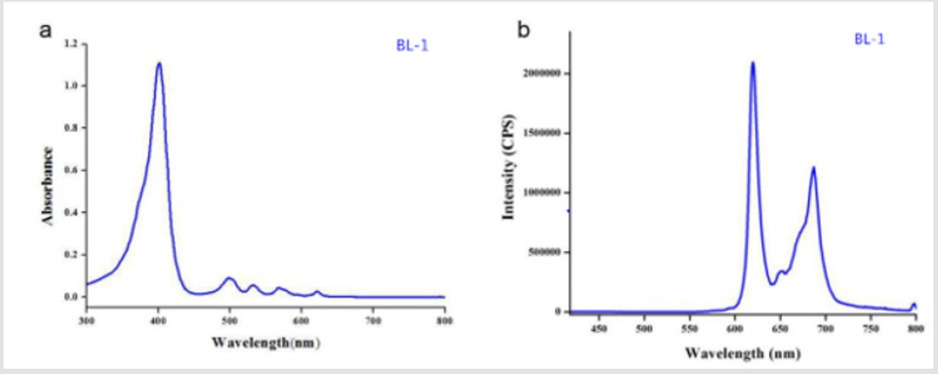 biomedres-openaccess-journal-bjstr