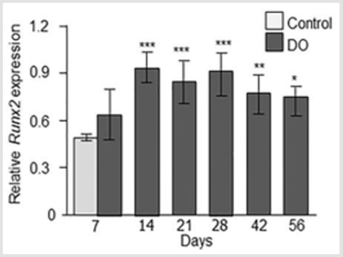 biomedres-openaccess-journal-bjstr