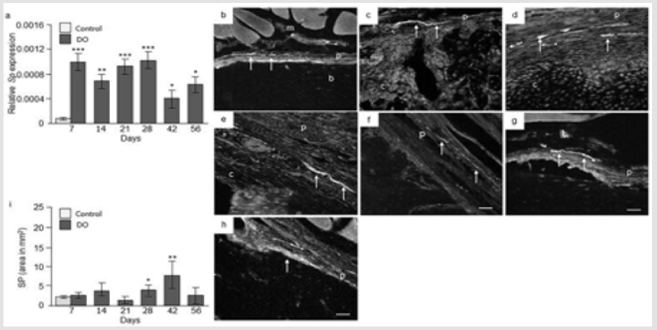 biomedres-openaccess-journal-bjstr