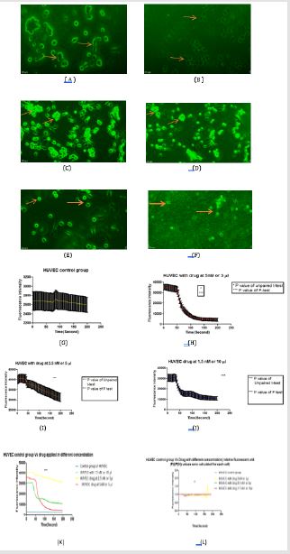 biomedres-openaccess-journal-bjstr