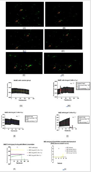 biomedres-openaccess-journal-bjstr
