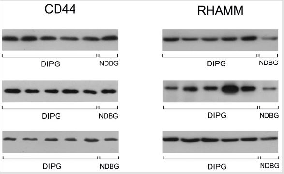 biomedres-openaccess-journal-bjstr