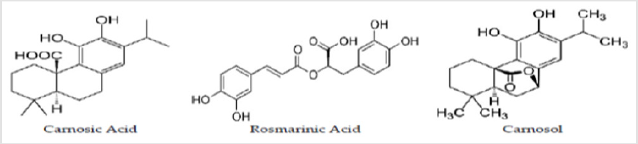 biomedres-openaccess-journal-bjstr