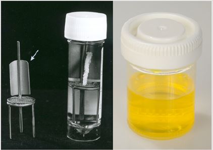 biomedres-openaccess-journal-bjstr