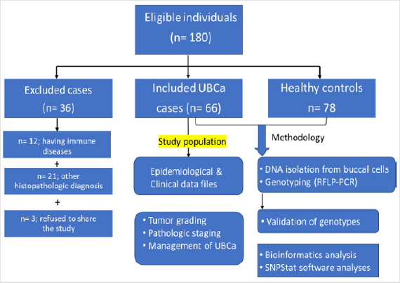 biomedres-openaccess-journal-bjstr