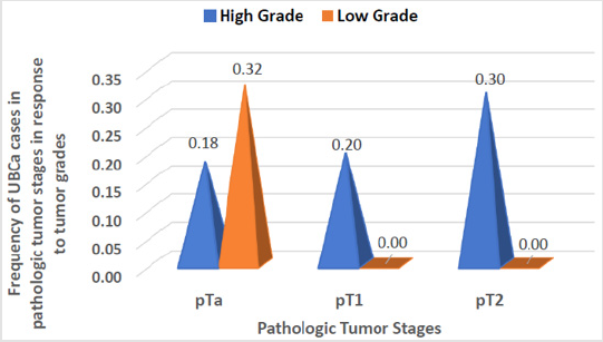 biomedres-openaccess-journal-bjstr