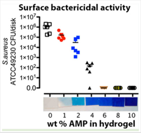 biomedres-openaccess-journal-bjstr
