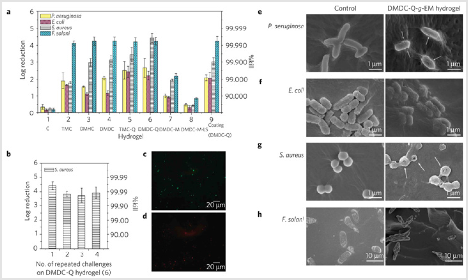 biomedres-openaccess-journal-bjstr