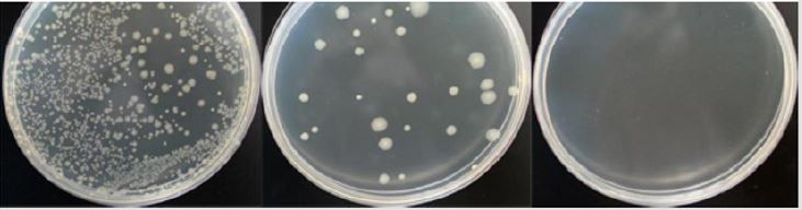 biomedres-openaccess-journal-bjstr