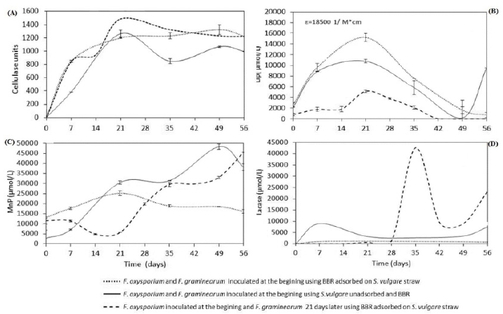 biomedres-openaccess-journal-bjstr