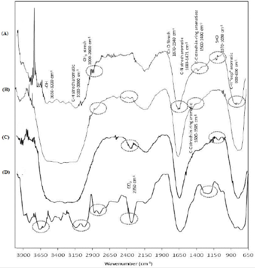 biomedres-openaccess-journal-bjstr