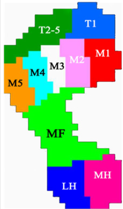 biomedres-openaccess-journal-bjstr