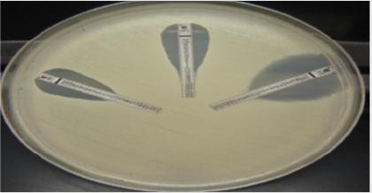 biomedres-openaccess-journal-bjstr