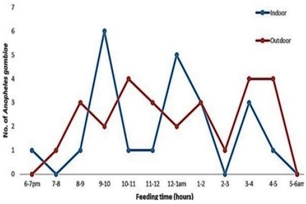biomedres-openaccess-journal-bjstr