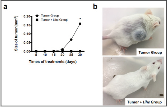 biomedres-openaccess-journal-bjstr