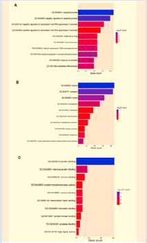 biomedres-openaccess-journal-bjstr