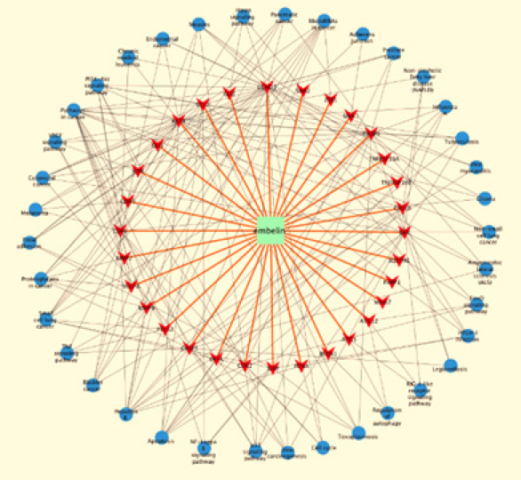 biomedres-openaccess-journal-bjstr