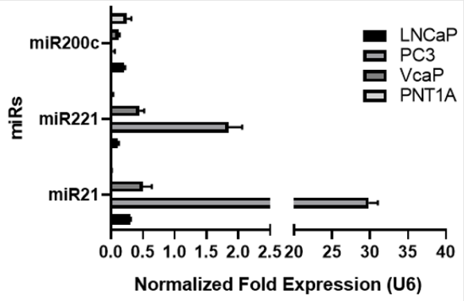 biomedres-openaccess-journal-bjstr