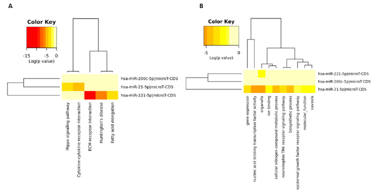 biomedres-openaccess-journal-bjstr