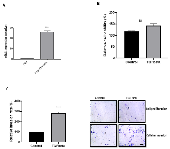 biomedres-openaccess-journal-bjstr