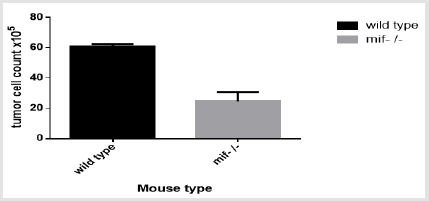 biomedres-openaccess-journal-bjstr