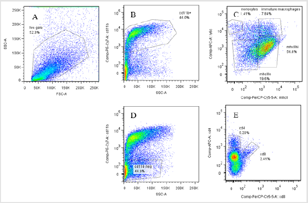 biomedres-openaccess-journal-bjstr