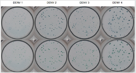 biomedres-openaccess-journal-bjstr