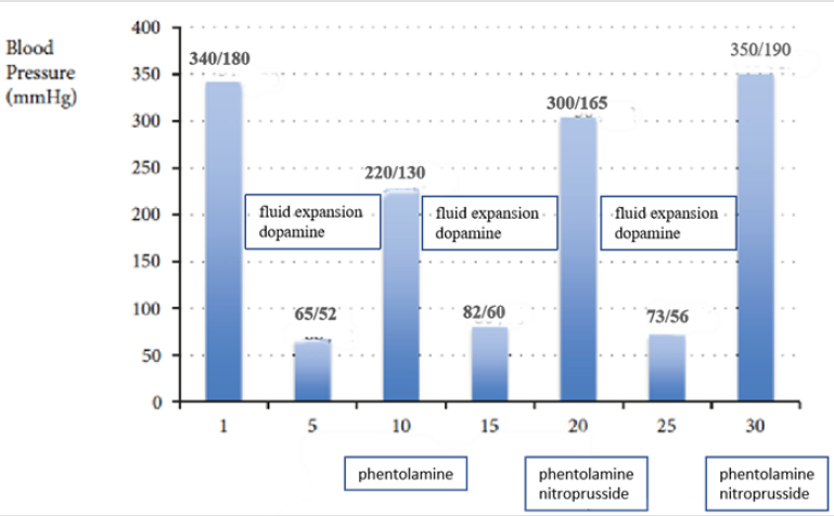 biomedres-openaccess-journal-bjstr