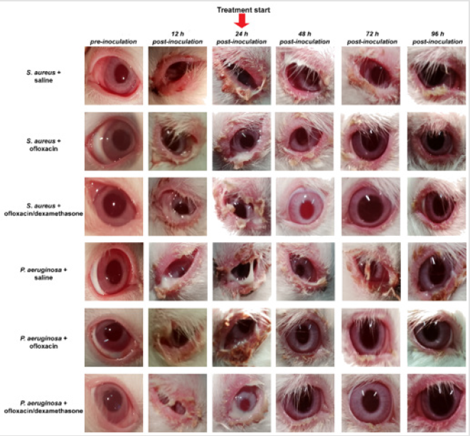 biomedres-openaccess-journal-bjstr