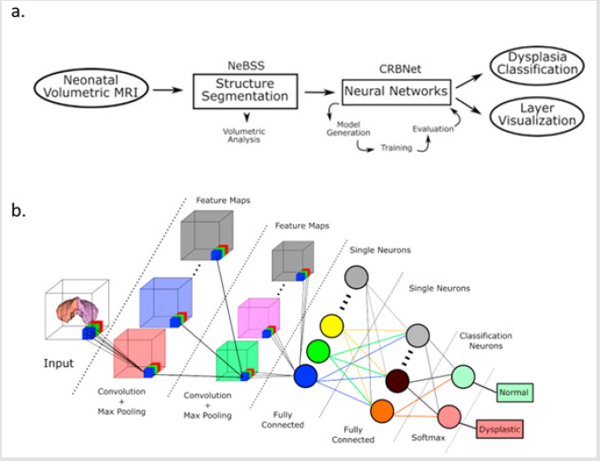 biomedres-openaccess-journal-bjstr