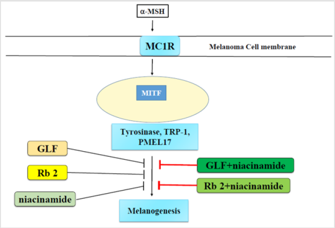 biomedres-openaccess-journal-bjstr