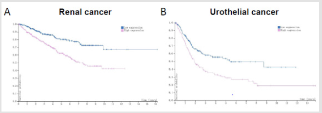biomedres-openaccess-journal-bjstr
