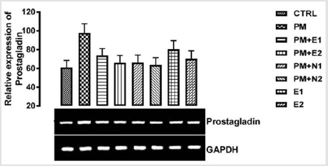biomedres-openaccess-journal-bjstr