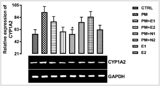 biomedres-openaccess-journal-bjstr