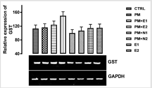 biomedres-openaccess-journal-bjstr