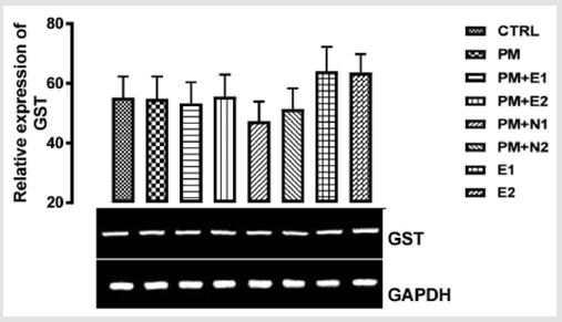 biomedres-openaccess-journal-bjstr