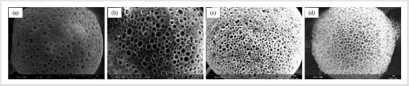 biomedres-openaccess-journal-bjstr