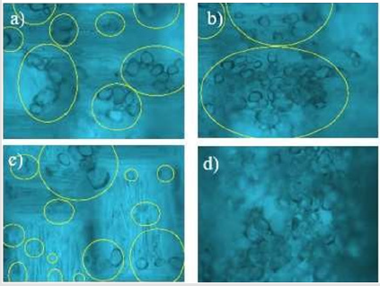 biomedres-openaccess-journal-bjstr