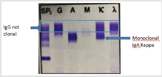 biomedres-openaccess-journal-bjstr