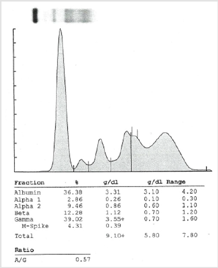 biomedres-openaccess-journal-bjstr