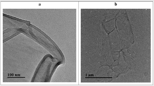 biomedres-openaccess-journal-bjstr