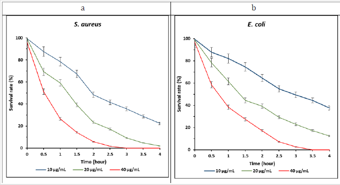 biomedres-openaccess-journal-bjstr