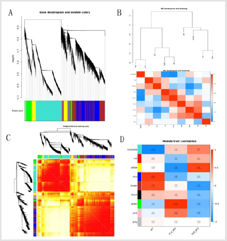 biomedres-openaccess-journal-bjstr