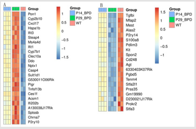 biomedres-openaccess-journal-bjstr