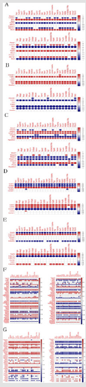 biomedres-openaccess-journal-bjstr