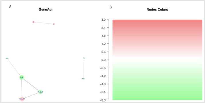 biomedres-openaccess-journal-bjstr