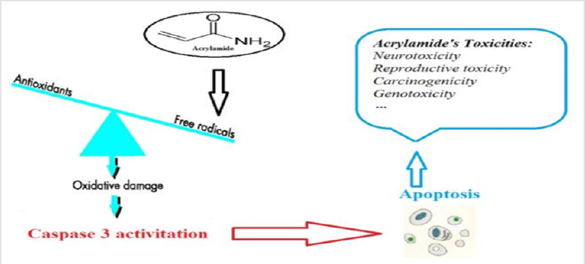 biomedres-openaccess-journal-bjstr