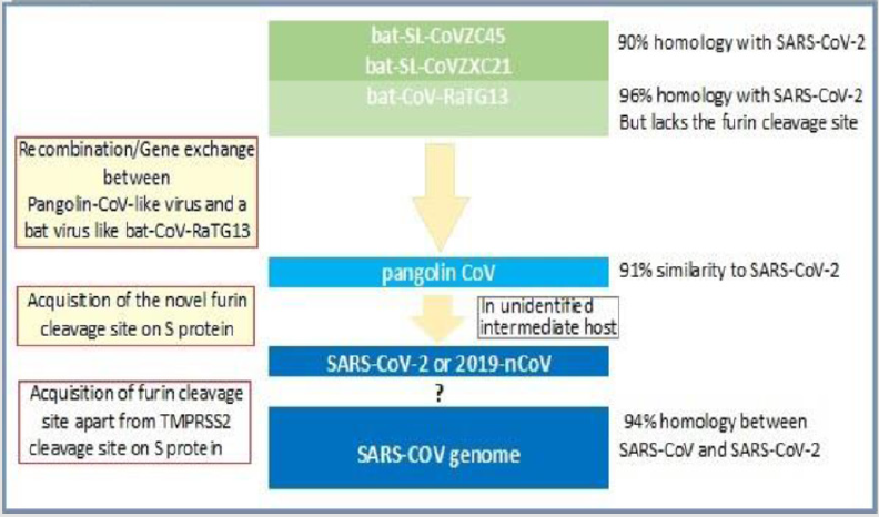 biomedres-openaccess-journal-bjstr